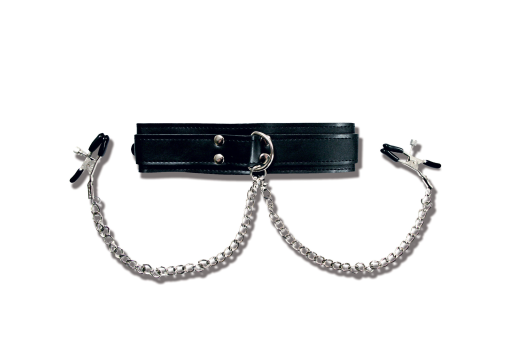 Collar with clamps